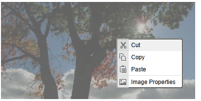 View the properties on an image