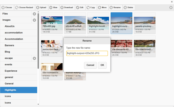 Renaming a file type within File Manager