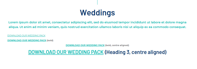 Options to format text within the CMS