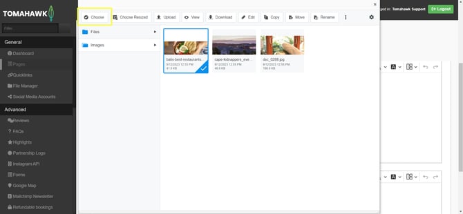 Selecting a file in File Manager