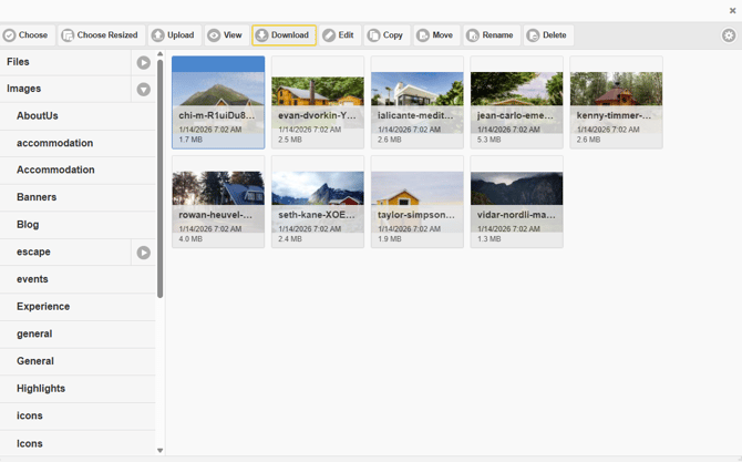 How to download a file from File Manager