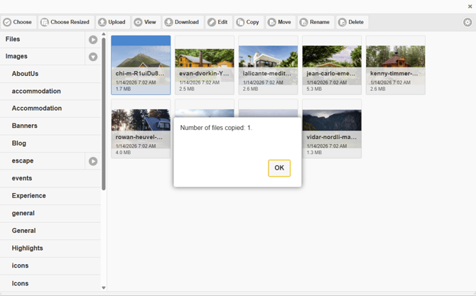 How to successfully copy a file within File Manager