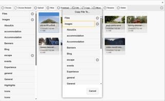 Copy a file to a new location
