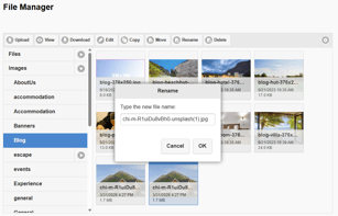 Renaming a file within File Manager