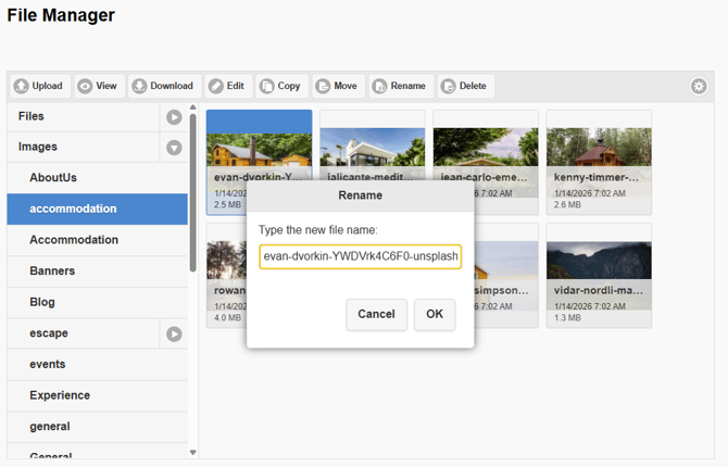 Type in a new file name to rename a file