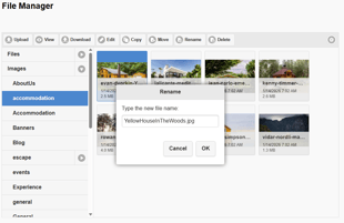 Renaming a file type