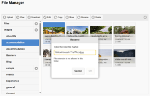 File names and file types within File Manager